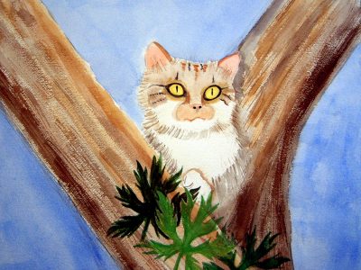cat in tree