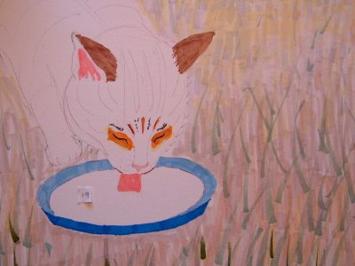 cat drinking